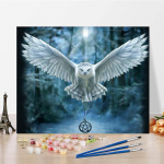 K&auml;sitsi maalitud isetegemise maal numbrite j&auml;rgi Digitaalne &otilde;limaal Kodukaunistuse numbrid &Otilde;limaali l&otilde;uend 40x50cm no frame