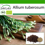 SAFLAX - Orgaaniline - K&uuml;&uuml;slauk-Murulauk - 100 seemet - Potisubstraadiga paremaks kasvatamiseks - Allium tuberosum