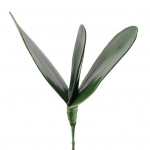 Lehtede imitatsioonid V&auml;rskelt s&auml;ilivad dekoratiivsed mitten&auml;rbuvad atraktiivsed v&otilde;ltsitud phalaenopsise kunsttaimed t&ouml;&ouml;lauakaunistus M