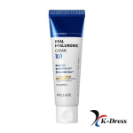 Wellage Real Hyaluronic 100 Cream 50ml 1 PCS