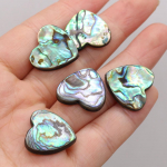 5tk Naturaalne Abalone Shell Hole S&uuml;da lahtised helmed ehete valmistamiseks DIY kaelakeed k&auml;ev&otilde;rud k&otilde;rvar&otilde;ngad tarvikud k&auml;sit&ouml;&ouml; 12mm 5Pcs/12mm