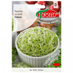 Sibulaseemned idanditeks, v&auml;rske k&ouml;&ouml;givilja seemned PREMIUM 10g
