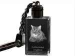 Kurilian bobtail longhaired - Crystal pendant with cat photo, illuminated pendant, unique gift by Art-Dog brand