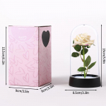 Punase roosi kunstlilled Loominguline s&otilde;brap&auml;eva emadep&auml;eva kingitus klaaskaanega roos Valgusroos Pulma LED Galaxy Rose