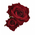 Roosilille juukseklamber naistele mere&auml;&auml;rne peo juukseklamber pruudi juuksen&otilde;elaga peakatted &uuml;hev&auml;rvilised peakatted veinipunane v&auml;rv