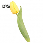 Simuleeritud tulp 37cm kunsttulp kunstsiidist v&otilde;ltstulbilill lahtiselt vaasiks pulmadeks kodukaunistuseks kevadpeoks emadep&auml;evakingiks oranž