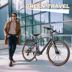 2025 NEW F700-1 Electric Mountain Bike Lightweight E-Bike 250W 36V10Ah Battery Hydraulic Disc Brakes Shimano 8 speed Electric Bike