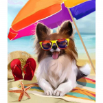 Teemantv&auml;rvimine T&auml;is&uuml;mmargune teemanttikandid Ristpistes mosaiikkomplekt Pilt seinakleebis 20X30CM