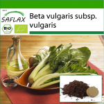 SAFLAX &ndash; Orgaaniline &ndash; Mangold &ndash; 150 seemet &ndash; Potisubstraadiga paremaks kasvatamiseks &ndash; Beta vulgaris