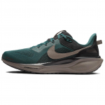 Nike Air Zoom Pegasus 41 SP Faded Spruce Meeste Tossud Roheline Oliivihall Must HQ6025-300 45