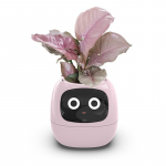 Smart Life Ivy Nutikas lillepott, L&otilde;putu l&otilde;bu &uuml;le 49 rikkaliku v&auml;ljendusega, 7 nutisensorit, AI kiibid teevad taimede kasvatamise lihtsaks ja l&otilde;busaks Smart Flower Pot roosa