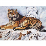 Teemantmosaiik DIY 3D Teemantmaal T&auml;isteemanttikandid Ristpistes Tiigerl&otilde;vi leopard 20X30CM