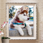 5D isetehtud rhinestones tikandid teemantmaaling t&auml;ispuur tantsija seinakunst Mosaiik kingitus kodukaunistus Full Round 20X30CM