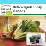 SAFLAX &ndash; kinkekomplekt &ndash; Orgaaniline &ndash; Swiss Chard &ndash; 150 seemet &ndash; Koos kinkekarbi, kaardi, etiketi ja potisubstraadiga &ndash; Beta vulgaris