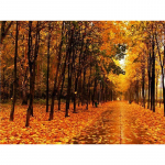 5D DIY Teemanttikandid Mets t&auml;isring puur Mosaiik Teemantmaal Maastik Ristpistes S&uuml;gisene kodukaunistus Full Round 20x30CM