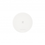 rom&nd ROMAND Back Me Tone Up p&auml;ikesepadi 11g (3 Valikud) #1PCS