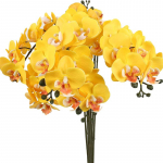 6 tk Kunstlikud orhideevarred Kunstlikud Phalaenopsis lilled P&auml;ris puudutusega orhideed Kunstlillede varred, kunstlikud orhideed kodukaunistuseks kollane