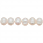Perles d'eau douce nacr&eacute;es - blanc - 12 mm