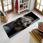 1 tk Kasside mustriga p&otilde;randamatt Moodne k&ouml;&ouml;gi pol&uuml;estervaip libisemiskindel v&auml;rviline sisevaip, kodus vannitoas, magamistoas, elutoa sisekujunduses 40*60cm