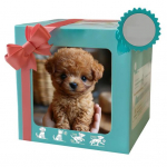 Robotkoer Elektriline Lemmikloom Realistlik Kohev Kutsikas Robot Interaktiivne M&auml;nguasi Koer K&otilde;ndimine Haukumine Saba Liputamine Nagu P&auml;ris Koer Lastele T&auml;iskasvanutele Kingitus B