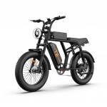 URLIFE-T2 Elektrijalgratas 48V 15,6Ah Eemaldatav Aku 250W Harjadeta Mootor 160KM S&otilde;iduulatus 20 x4.0 Paksude Rehvidega E-jalgratas Linna- ja Maastikus&otilde;iduks must