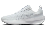 Nike Interact Run Valge Hundi Hall Puhta Plaatina FD2291-104 43