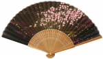Matsumi Koge Kokkupandav Kirsipuu 131016 Asahi-o Ventilaator, &Otilde;ied, Must-Pruun, must