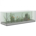 L&auml;bipaistev akvaarium hoiuruumiga 60 x 20 x 20 cm Klaas