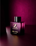 Z Magnetism Meestele Klassikaline EDP