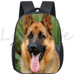 Kerged Saksa Lambakoera Koolikotid Lasteaia Kotid Poiste T&uuml;drukute Koolikott Mochilas Boston Terrier Husky Koer Laste Seljakott gray