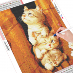 DIY 5D Teemantmaaling Loomade kassipoeg T&auml;isringikujuline teemanttikandid Tikand Teemant 20*30 cm