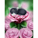 5D teemantmaali roosi ja kassi kingitus Teemanttikandid K&auml;sit&ouml;&ouml; maalimise komplektid Teemantseinakunst 20X30CM