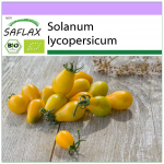 SAFLAX &ndash; Orgaaniline &ndash; Tomat &ndash; Kollane allveelaev &ndash; 10 seemet &ndash; Solanum lycopersicum