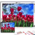 5D Teemantmaal Tulbid Mosaiik DIY Teemanttikandid Rhinestone Kodukaunistus Full Round 20X30CM