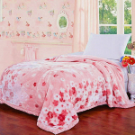 Kahekihiline paksendatud tekk Four Seasons soe ja mugav tekk tekk Paksendatud &uuml;hekordne talve kattetekk 200*230cm 3.5kg