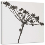L&otilde;uendiprint Plant Black & White 30x30 valge/must