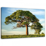 L&otilde;uendiprint Tree Landscape Nature 60x40 roheline