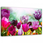 L&otilde;uendiprint Tulips Purple Flowers Nature 60x40 roosa