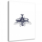 Must-valge l&otilde;uenditr&uuml;kk Beetle Insect Nature 40x60 valge/must