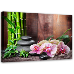 L&otilde;uenditr&uuml;kk Orchid Flowers Spa Nature 60x40 pruun