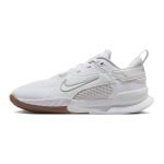 Nike Crosscourt Valge Kumm Keskmine Pruun Puhas Plaatin (GS) Laste tennised FN2231-100 40