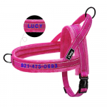 Kohandatud flanellpolsterdatud koeravesti rakmed Helkurt&otilde;mbevaba koerarihma rakmed Kiiresti sobivad v&auml;ikestele suurtele koertele Prantsuse buldog 2XS