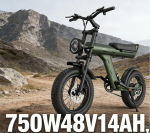JANSNO X90 T&auml;iskasvanute Elektrijalgratas 750W 48V 14AH Peidetud Aku 16 Paks Rehv Topeltvedrustus Maastik Lumine K&otilde;ik Maastikud E-jalgratas