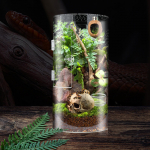Silindrikujuline Plastikust Lemmiklooma Elupaik Karbi Eesmine Avatav Uks H&uuml;ppava &Auml;mbliku Puur Roomajate Terrarium