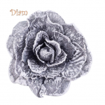 Lachepperi lillekujuline akenkardin Magnetpandlaga, kinnihoidev kodukaunistus hall