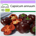 SAFLAX &ndash; mahe &ndash; magus pipar &ndash; magus &scaron;okolaad &ndash; 10 seemet &ndash; Capsicum annuum