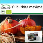 SAFLAX - Kinkekomplekt - Orgaaniline - Suvik&otilde;rvits - Hokkaido - 5 seemet - Koos kinkekarbi, kaardi, etiketi ja potisubstraadiga - Cucurbita maxima