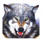Isekleepuv kleebis Wolf Predator autokleebis Veekindlad autodekoratsioonid 30cm-Longest Side