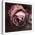 L&otilde;uendiprint Ilus roosa roosi&otilde;is 30x30 roosa