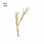 Vanemad prossid, lilledega lehtedest prossid kuld